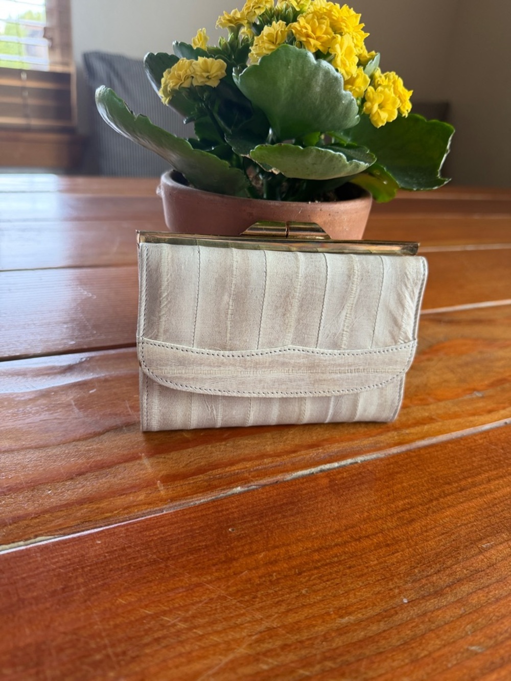 Eel skin - Cream Women's Clutch Wallet with Metal Frame